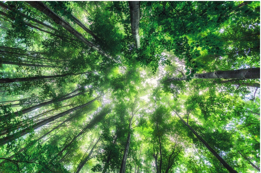 1702950498626228.png 微信截圖_20231219090110.png