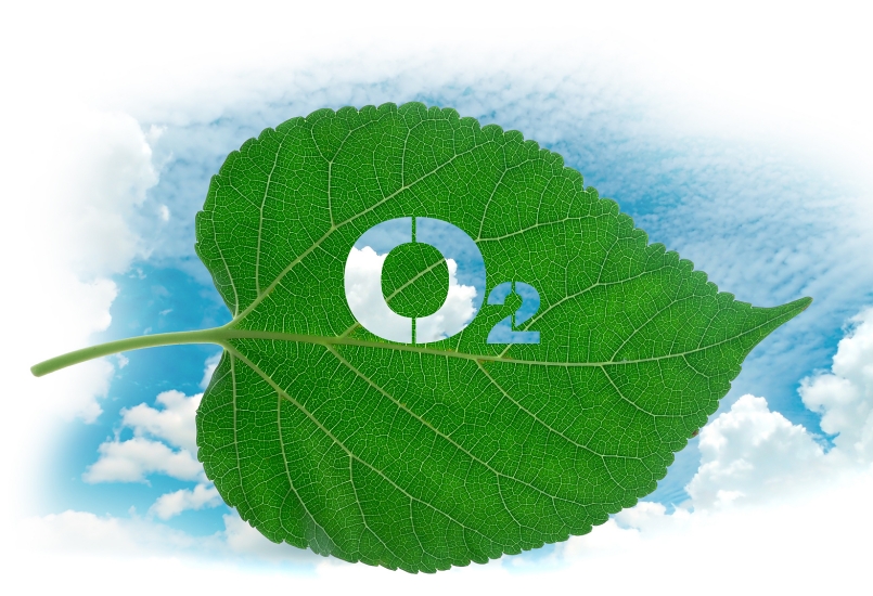 1702950520649759.png 微信截圖_20231219090134.png