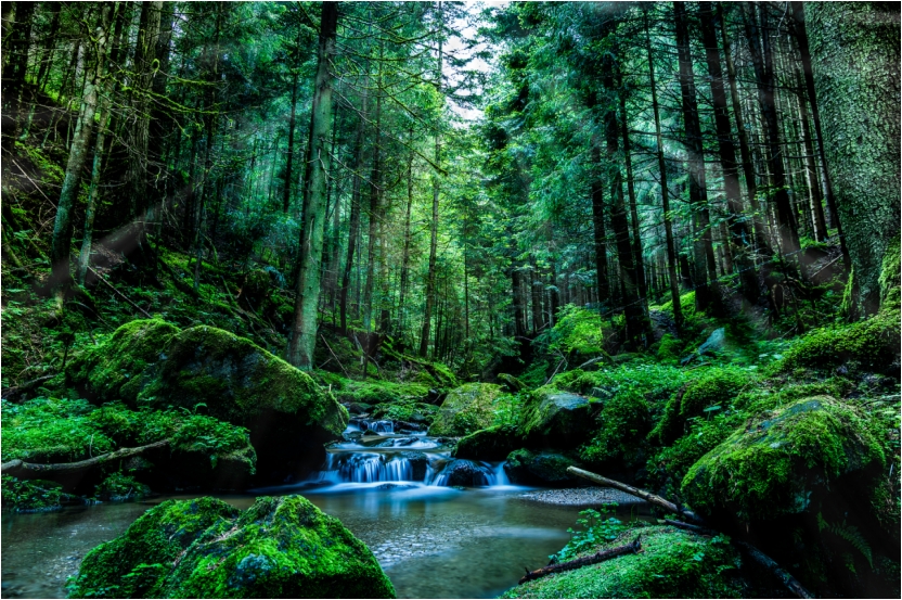 1702950574793941.png 微信截圖_20231219090145.png