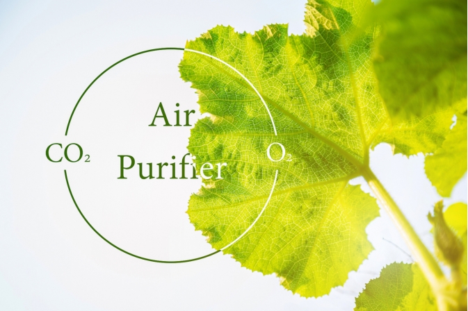 1706489406409169.png 微信截圖_20240129084826.png